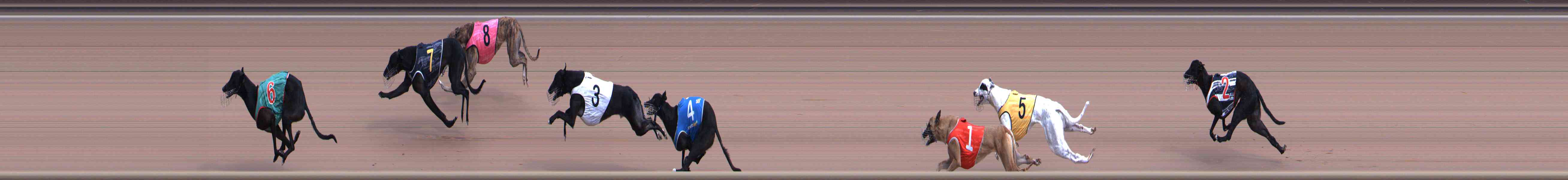 Race result finish photo